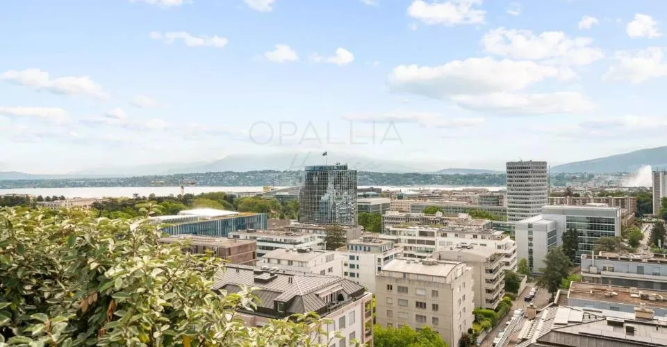 Appartement unique avec rooftop