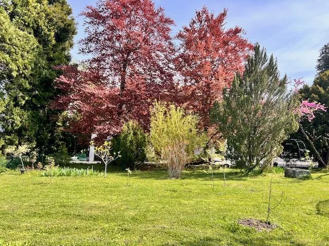 Grande maison villageoise en viager dans la campagne genevoise de Satigny