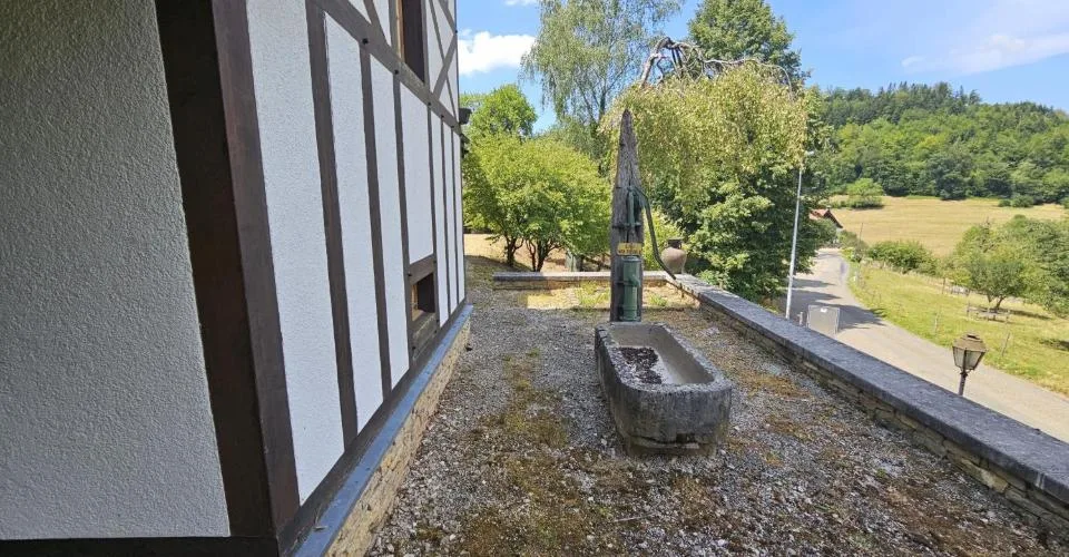 À vendre à Asuel maison de maître de 9.5 pièces terrain de 2'747 m²