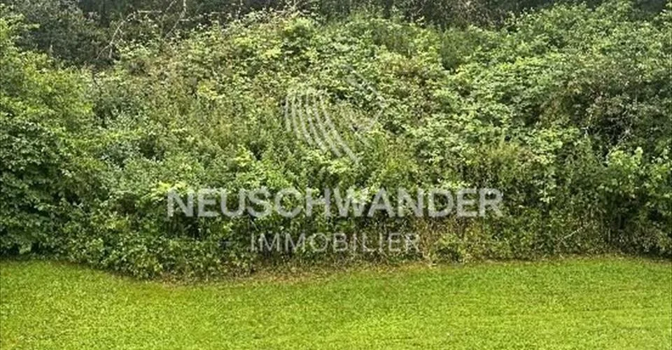 Appartement de 3.5 pièces en copropriété à Courrendlin