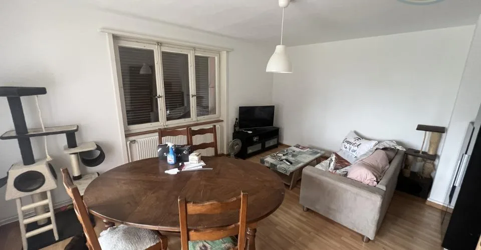 Immeuble de rendement avec 3 appartements et surface verte de 1'400m2 – photo 8 sur 13