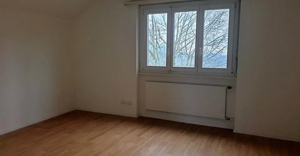 À vendre maison locative de 2 logements et 1 local commercial à Asuel