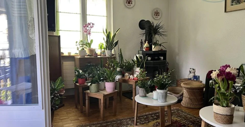 Maison familiale avec jardin et volumes généreux à Porrentruy