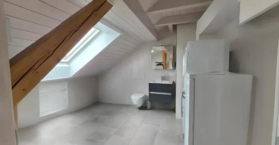 Loft contemporain de 4,5 pièces 153 m² de volumes et de lumière à Alle
