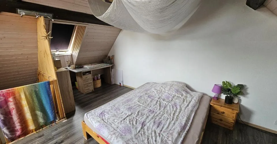 Charmant triplex sur 3 niveaux avec poêle à bois, terrasse et jardin – foto 5 di 13