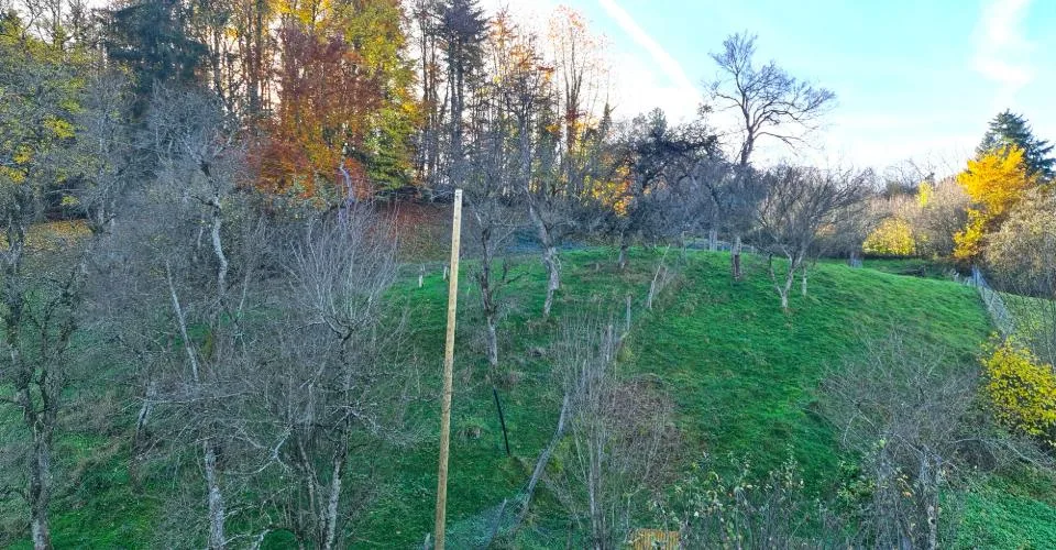 Grande maison familiale atypique de 7,5 pièces