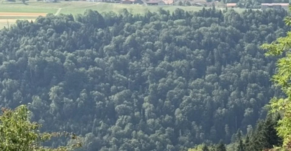 À vendre – Charmant chalet avec vue imprenable à Sceut (JU)