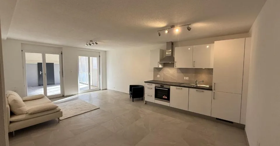 ppartement 3.5 pièces avec grande terrasse 70 m²