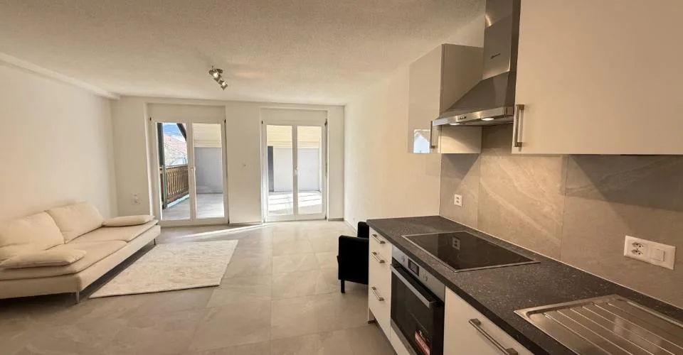 ppartement 3.5 pièces avec grande terrasse 70 m²