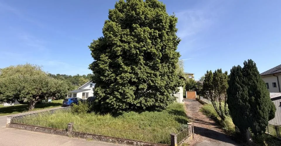Maison individuelle avec un fort potentiel à Alle à vendre
