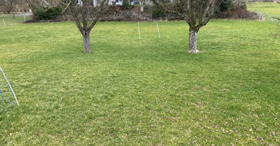Maison avec grand jardin privatif et terrasse à Coeuve