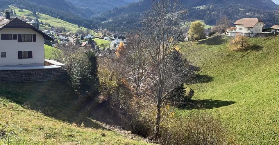 2 parcelles libres de mandat à Plasselb