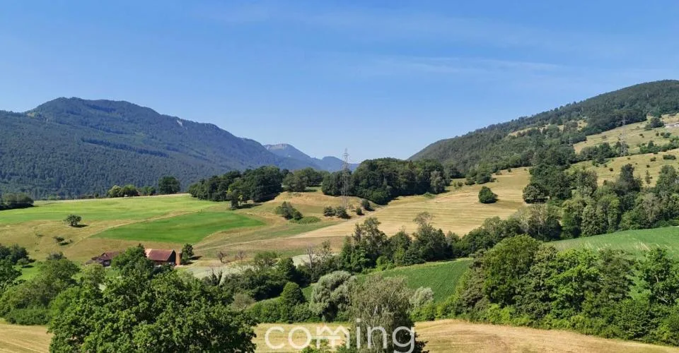 Votre terrain à bâtir à Aedermannsdorf – situation ensoleillée et calme avec de bonnes connexions