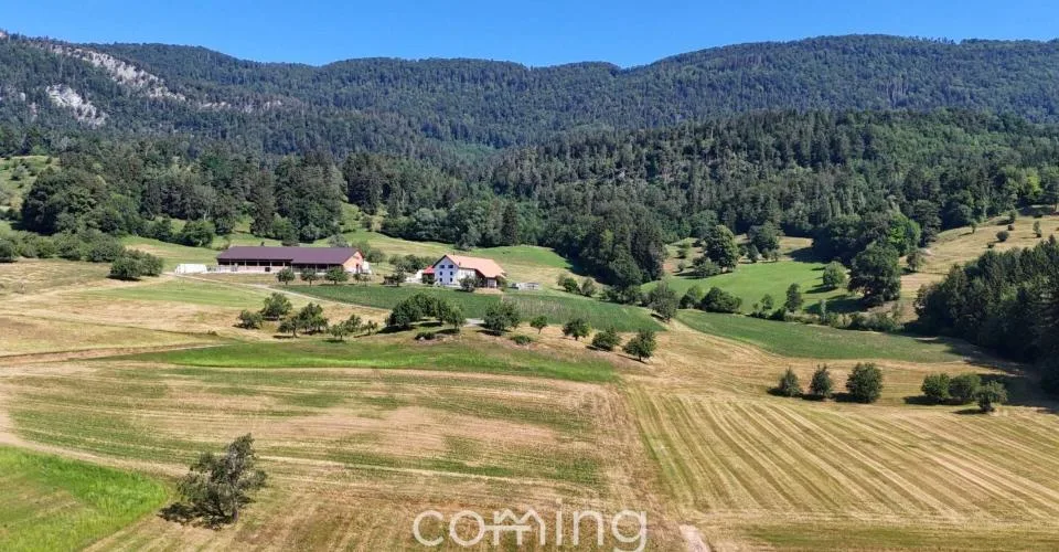 Votre terrain à bâtir à Aedermannsdorf – situation ensoleillée et calme avec de bonnes connexions