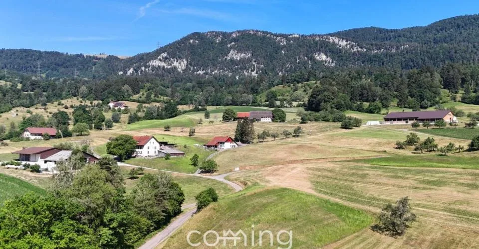 Votre terrain à bâtir à Aedermannsdorf – situation ensoleillée et calme avec de bonnes connexions