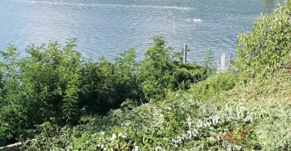 Terreno edificabile con vista panoramica sul Lago Maggiore e sulle montagne