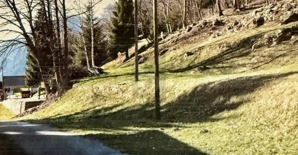 SOLEGGIATO E TRANQUILLO