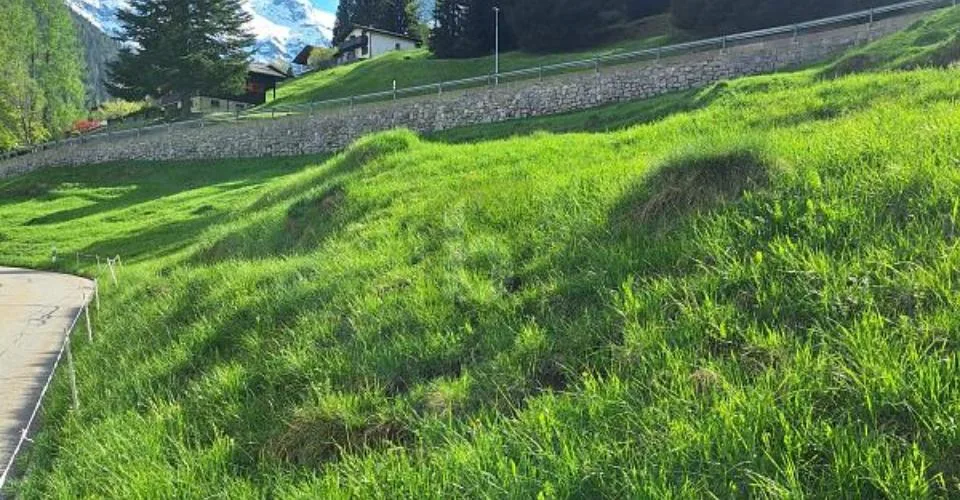IN POSIZIONE TRANQUILLA E SOLEGGIATA CON VISTA