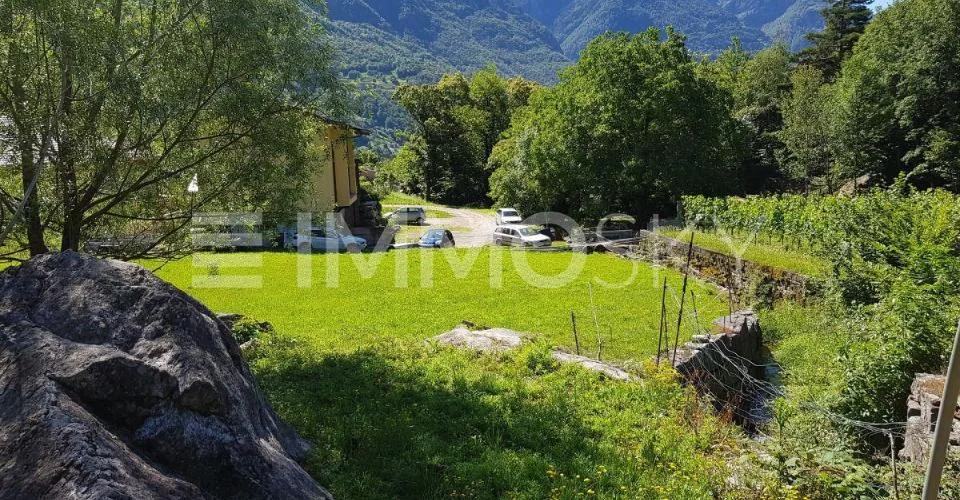 Tra sole e natura