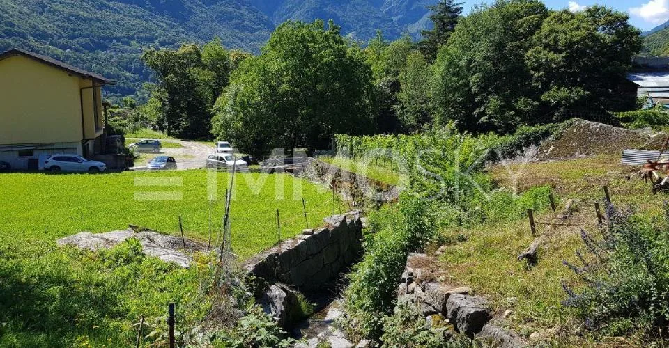 Tra sole e natura
