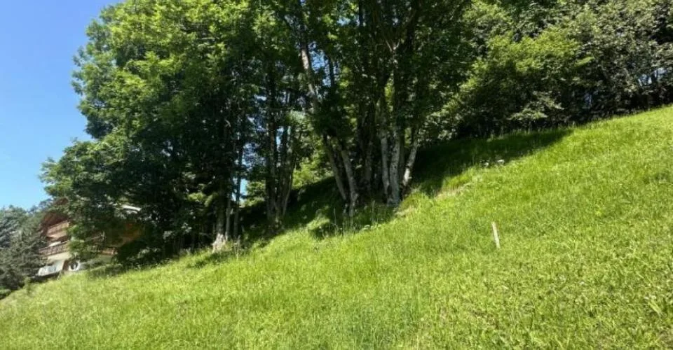 Terrain à Chesières – photo 4 sur 6