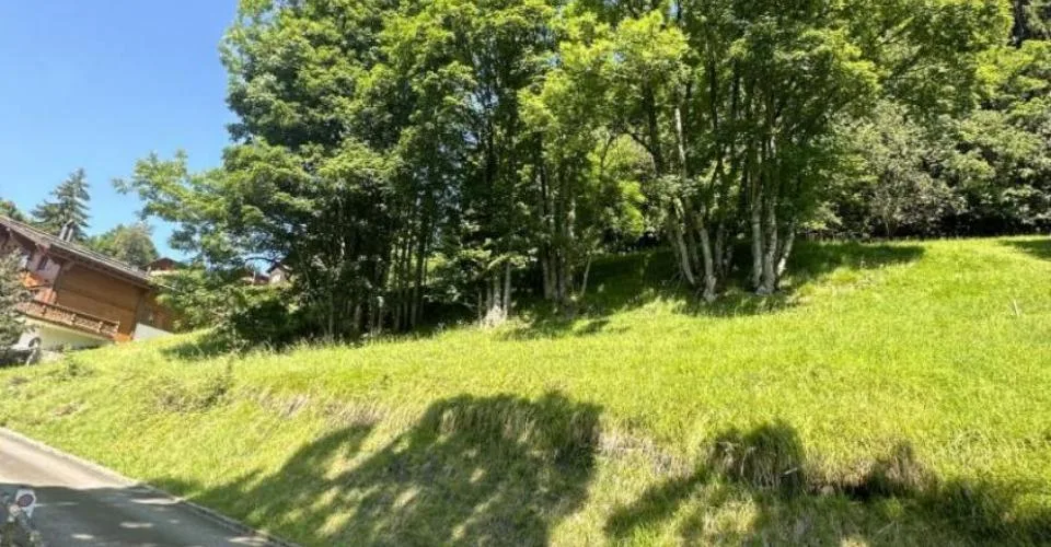 Terrain à Chesières – photo 2 sur 6