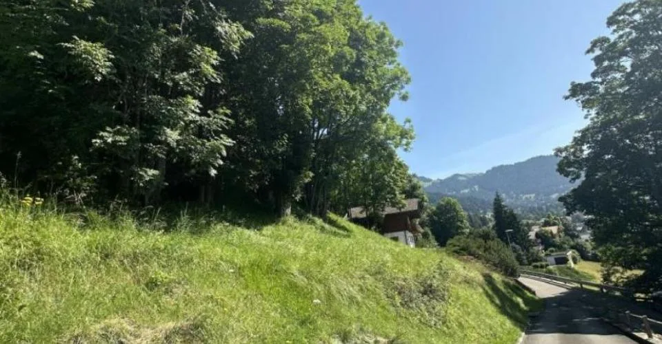 Terrain à Chesières – photo 6 sur 6