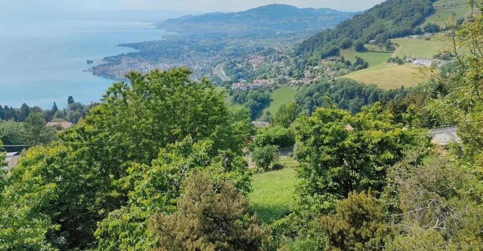 Parcelle avec permis en force et projet pour une villa individuelle – Foto 5 von 6