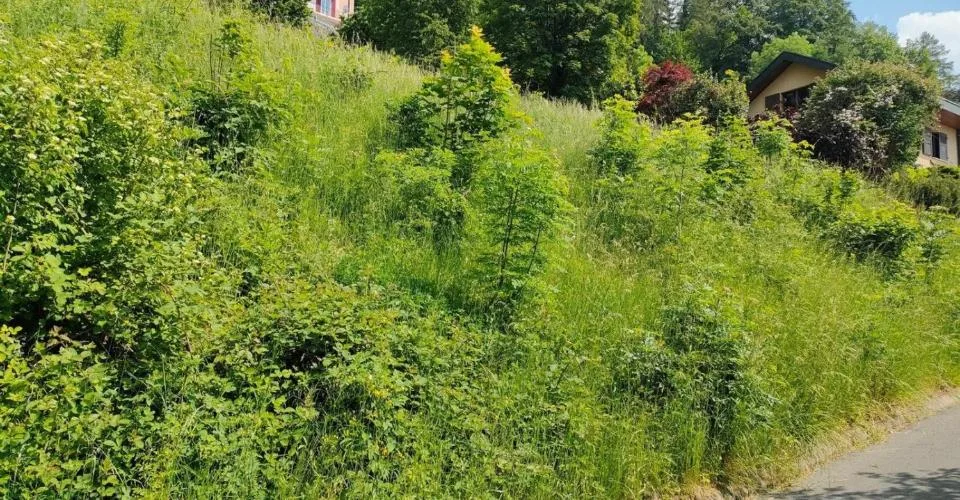 Parcelle avec permis en force et projet pour une villa individuelle – Foto 6 von 6