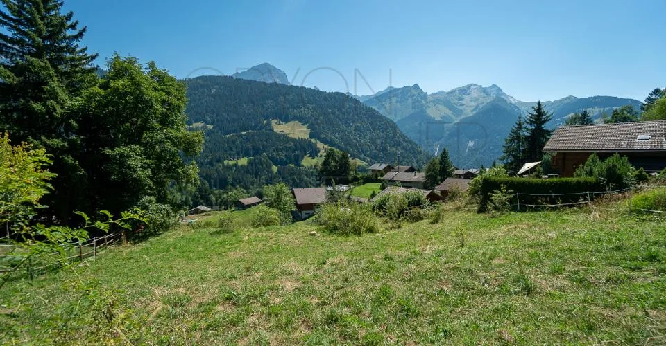 Gryon Immo propose une belle parcelle proche de toutes les commodités