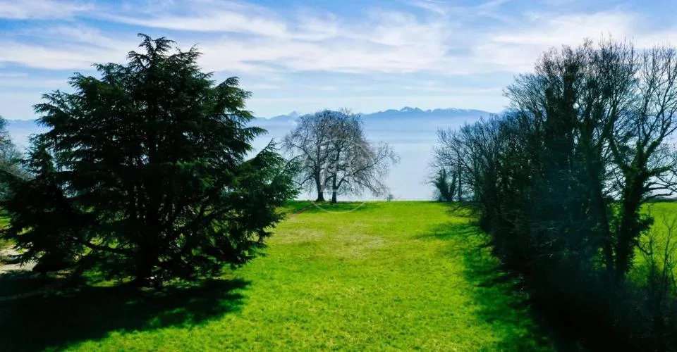 Superbe parcelle de 6 500 m2 pied dans l'eau, Rolle – photo 12 sur 12
