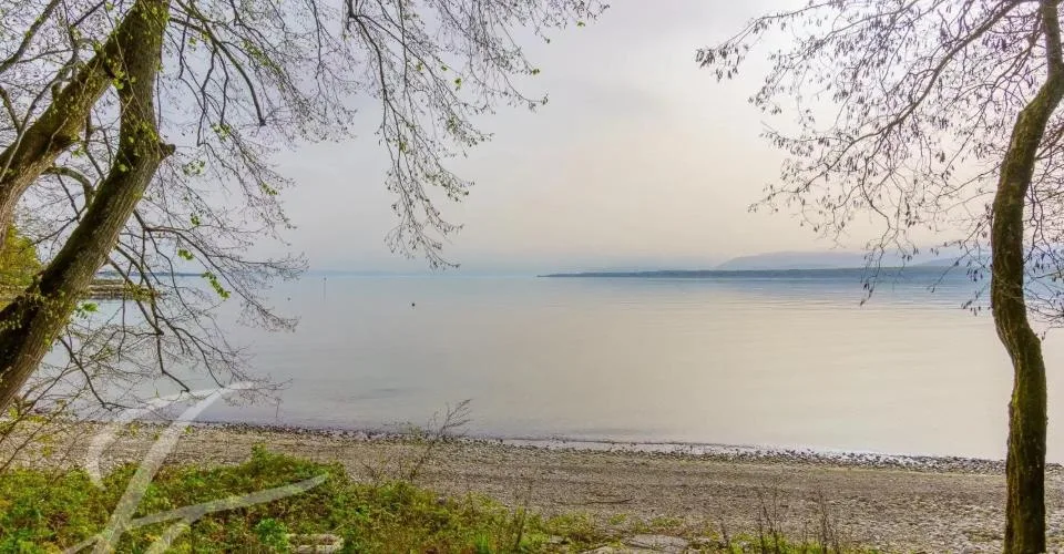 Parcelle de 7'585m2 située les pieds dans l'eau – Foto 3 von 3