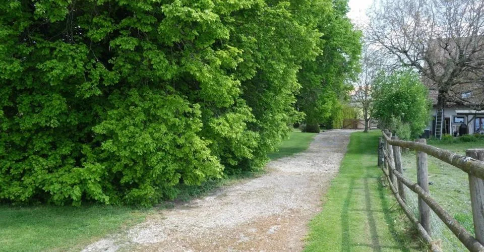 Magnifique terrain pour 1 à 3 villas - 540 spb avec parc et carré de d