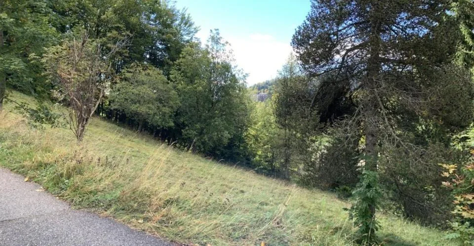 Terrain à St-Cergue