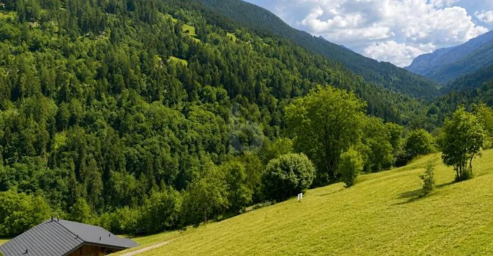 MAGNIFIQUE TERRAIN DANS UN CADRE NATUREL