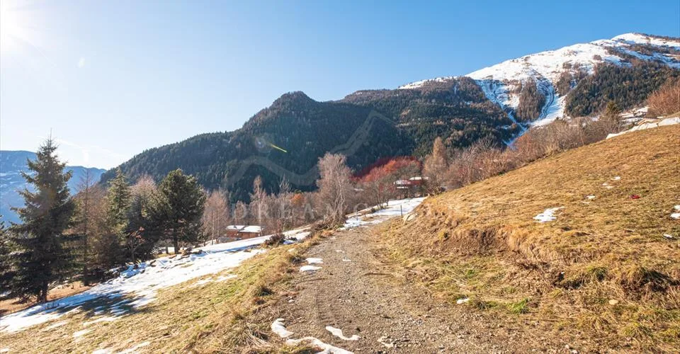 Parcelles ensoleillées pour chalet neuf à construire – Foto 4 von 4