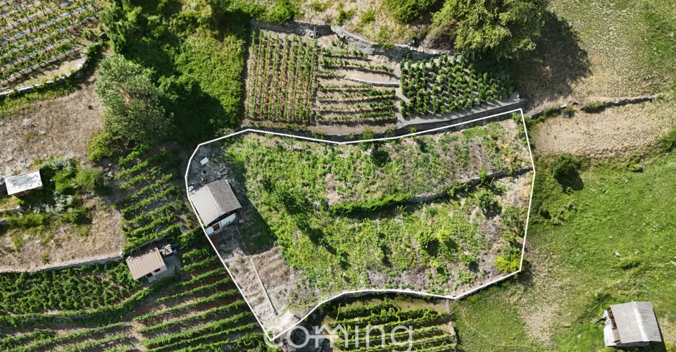 Rebparzelle mit Rebhaus in Stalden - Weinbau im Vispertal
