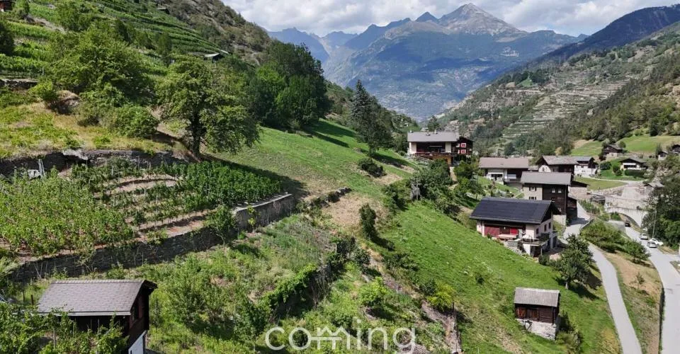 Rebparzelle mit Rebhaus in Stalden - Weinbau im Vispertal