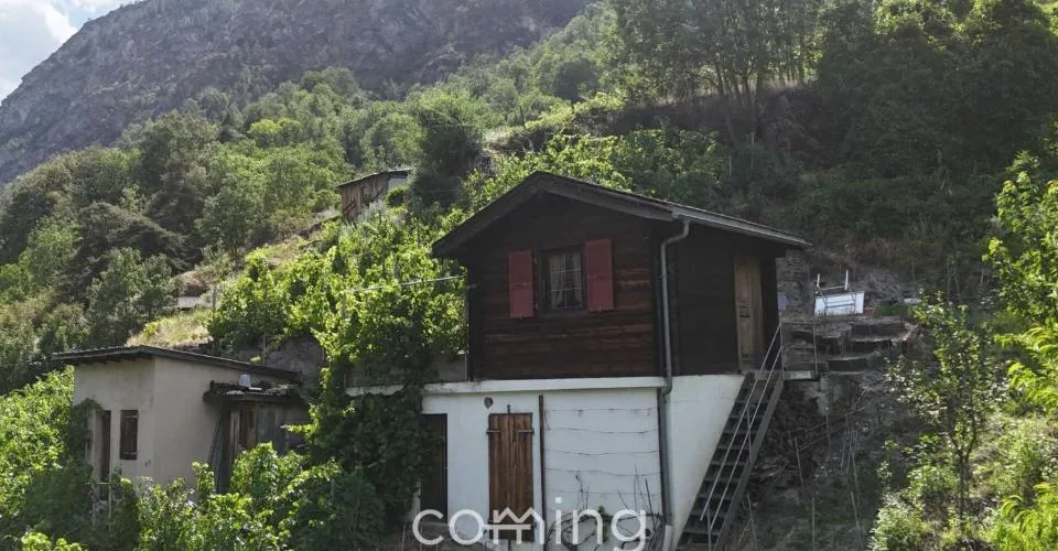 Rebparzelle mit Rebhaus in Stalden - Weinbau im Vispertal