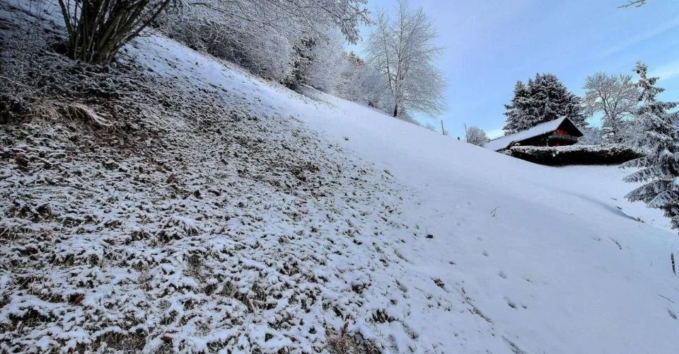 Terrain - Parcelles 1246 - 1247 copie