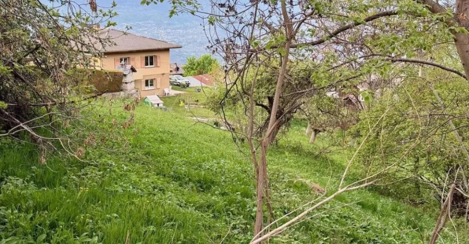 Très jolie parcelle de 968 m2 en zone résidentielle à Sornard en zone H30 à Nendaz avec accès direct