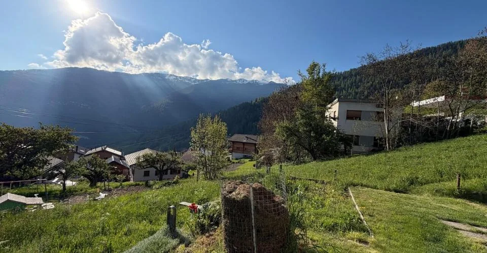 Très jolie parcelle de 968 m2 en zone résidentielle à Sornard en zone H30 à Nendaz avec accès direct