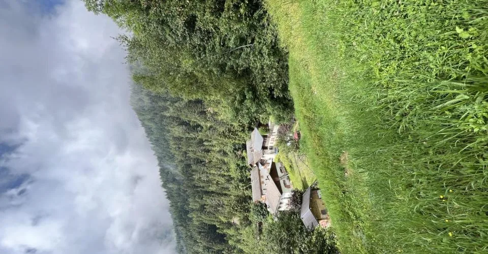 Terrain à vendre à Ovronnaz – photo 6 sur 7