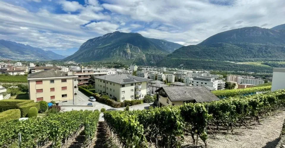 Terrain à construire