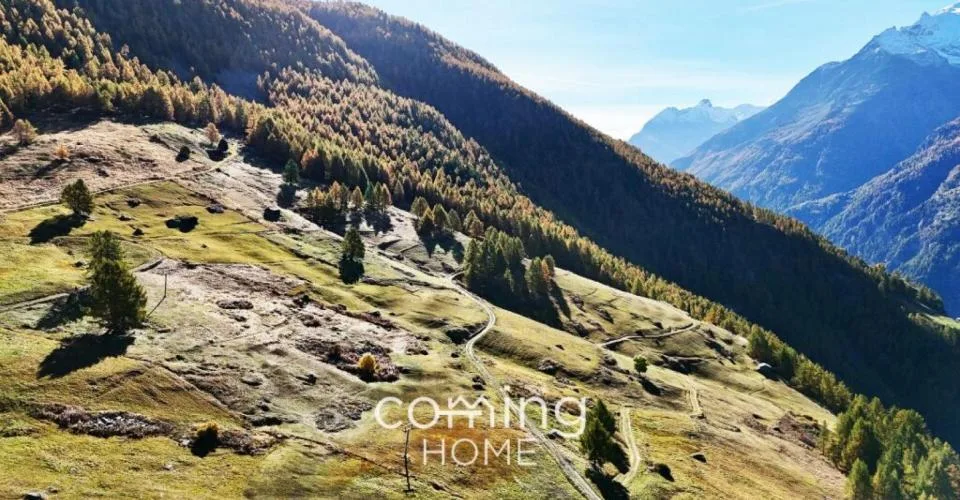 Terrain à bâtir proche de la nature à Gspon - Panorama alpin, tranquillité et qualité de vie alpine