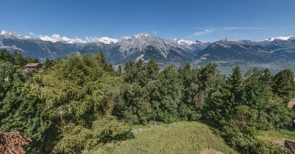 Terrain libre de mandat de plus de 1 000m2 dans un quartier résidentiel proche du centre de la station – photo 6 sur 6