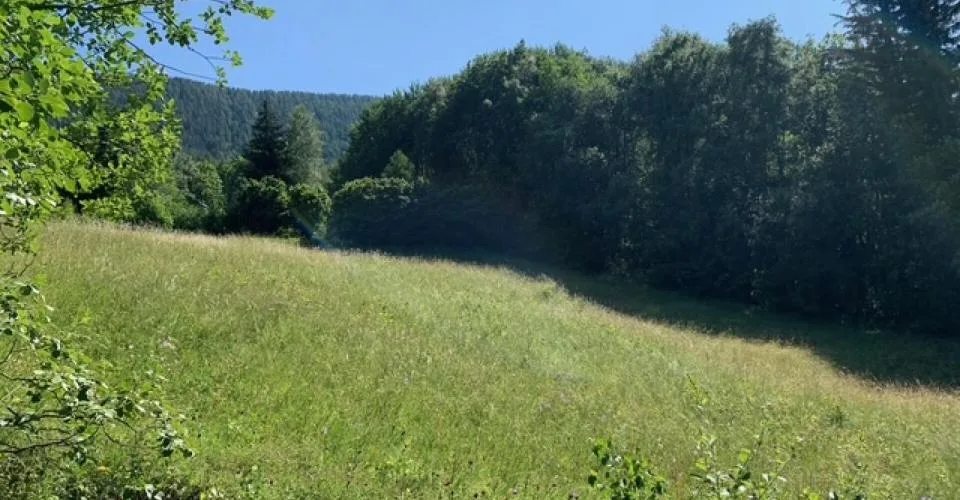 Terrain à bâtir Mayen de l'Arbarey - Saxon