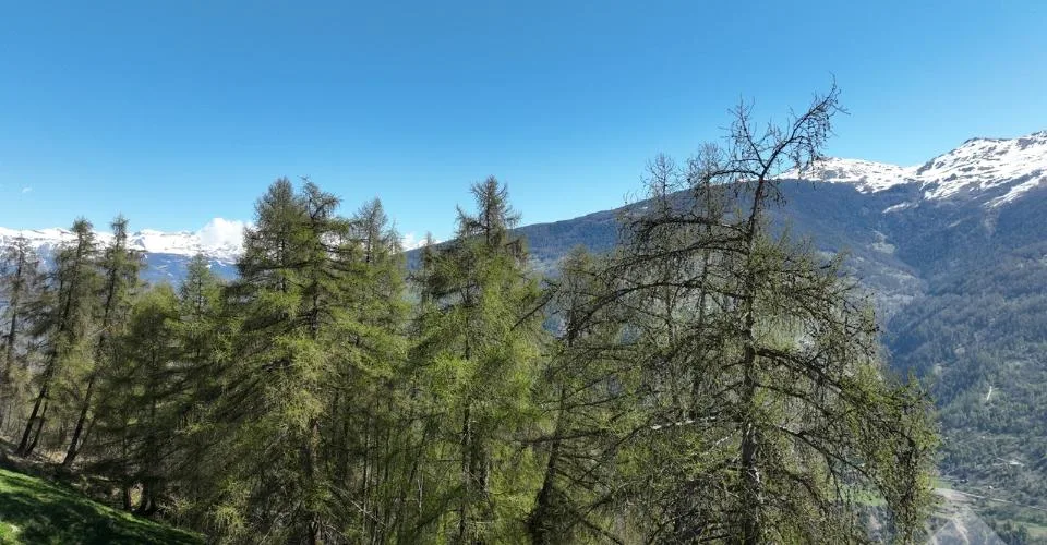 Terrain aux Masses avec vue dégagée