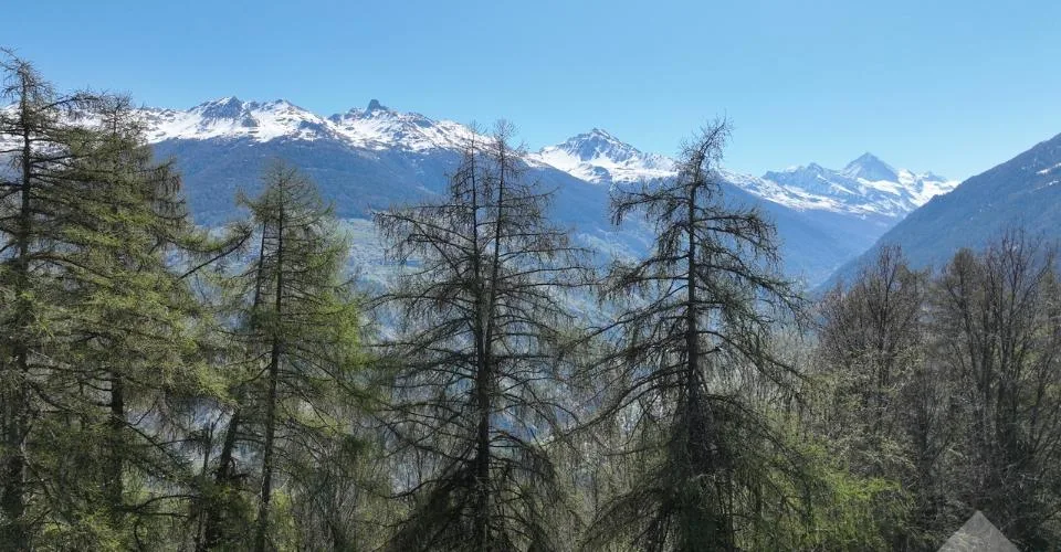 Terrain aux Masses avec vue dégagée