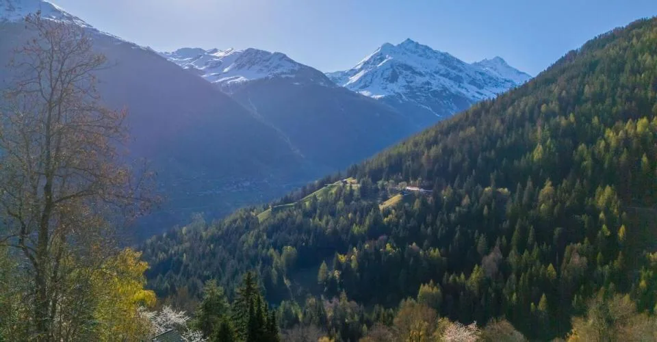 Superbe parcelle constructible à l'entrée de Grimentz, emplacement stratégique et potentiel exceptionnel